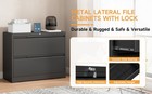 2 Drawer Lateral Storage Cabinet Metal Storage Cabinet Lateral File Cabinet