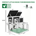 2-tier Wooden Chicken Coop Predator Proof Weatherproof Easy Clean Hen House