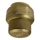 100 Pack Xfitting 3 4  Push Fit Cap W  1 Clip Push To Connect End Cap Plug Brass