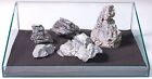 15lb Seiryu Rock For Aquascaping Aquariums Terrariums Vivariums
