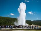  20 Coupon For All Yellowstone Tours In 2025