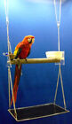 Macaw Parrot Perch Hanging Swing Gym Feeder Cups Bird Toy Play Gym Playground