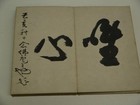Antique Japanese Meiji Painting Album Shogajo Chikanobu Shunkyo 1904 1908