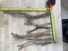 7 New Hand Sanded Manzanita Branches  Birdcage Or Aquarium Sizes Vary From 6-15   