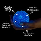 Gnawsome    3 5    Spiky Squeak   Light Ball Dog Toy - Medium  Colors Will Vary  3 5