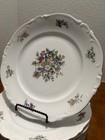 Crown Bavaria Bouquet Dinner Plates  6  Germany Porcelain Vintage 10-1 2 