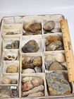 Invertebrate 47 Fossil Bulk Lot - Unknown Locality - Wholesale 
