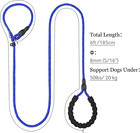 Tagme Slip Leads For Dogs  6 Ft Heavy Duty Dog Leash With Padded Handle  Strong