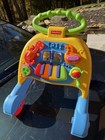 Fisher-price Baby Push Walker Activity Musical Toy  Multicolor