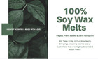 Eucalyptus Wax Melt Tarts 100  Soy  Heavily Scented   Hand Poured 