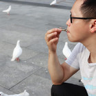 3 Pcs Birds Whistle Stainless Steel Training Training Flute Pet Behavior Trainin