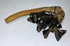 Vintage Native American Indian Ceremonial Deer Hoof   Wood Rattle Dance Meditate