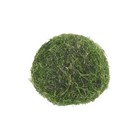 10pcs Marimo Moss Ball  cladophora Live Aquarium Plant  Fish Tank Plant