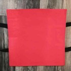 Doordash Delivery Insulated Thermal Hot Bag Pizza Bag 