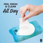 Summer s Eve Fragrance Free Gentle Daily Feminine Wipes  32 Count  pack Of 4  