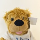 Noah Benshea - Talking Bear - Prayer Bear With Tag Working  Clean Mint