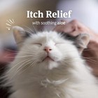 Petarmor Ear Mite Treatment For Cats  Ear Mite Medicine Kills Ticks And Ear Mite