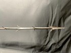Old Beautiful African Spear Ngbandi  19th  Congo  Copper  Tinplat  Carved Wood A