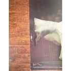 Vintage Dynamite Magazine Insert Poster - 1970s - Cher  Stage Shot - Pop Culture
