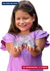 The Original Slinky Walking Spring Toy  2 75-inch Diameter Metal Slinky  Fidget