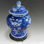 Chinese Kangxi Revival Large Baluster Prunus   Cracked Ice B w Vase  - 32cm H