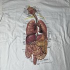 Vtg 1991 Anatomical Chart Anatomy Organ T-shirt Mens Xl Single Stitch 1990s Tee