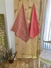 2 Antique French Red Fruit Dyed Linen Tea Towels 1900