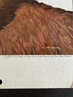 1976 Smoky Bear Forest Service Original Poster On Card Stock 18 5x13