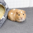 Mygeromon Guinea Pig Cage Liner Washable 23  15 Inch Rabbit Bedding Mat Reusab   