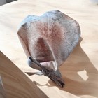 Earth Tones Surgical Scrub Cap