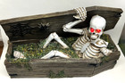 Halloween Skeleton In Casket With Lite-up Red Eyes