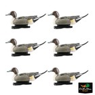Avery Ghg Greenhead Gear Life-size Pintail Drake Duck Decoys - 1 2 Dozen