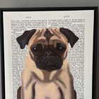 Pug Framed Canvas Wall Art 12x16x2 Black Wood Frame Ready To Hang