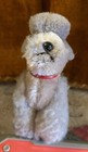 Vintage Steiff 50   s German Mohair Snobby Poodle Dog 4 1 2   