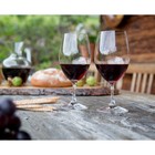 New Riedel Ouverture Magnum Glass Set 6pce