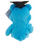 Brand New Care Bears Grumpy Bear 2026 Graduation Plush 8  With Cap   Diploma 