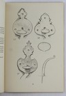 Early American Wrought Iron - Robert Bourdon Stowe  Vt Paperback Book