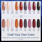13 Pcs Gel Nail Polish Set     9 Gel Polish Colors Winter Coffee Nude Brown Red Wi