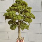 15cm Autumn Trees Ho oo Scale Miniatures Garden Landscape Scenery Model Display