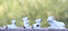 4pc Dog Puppy Figurine Set Vintage China Ceramic Antique Porcelain Japan Family