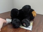 Ganz Webkinz Lil Kinz Black Bear Nwt new With Code 
