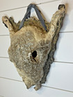 Raku Pottery Bull Mask Horns Brutalist 3d Wall Hanging
