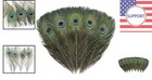 6 Pcs Real Natural Big Peacock Eye Feathers 10-12 Inch For Diy Craft  Wedding   