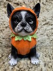 French Bulldog Pumpkin Costume Halloween Figure Decor 7in Resin