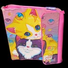 Lisa Frank Vintage 90s Binder Kittens Bubbles Stuart Hall W 2 Folders  read 