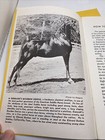 Vintage Horse Books Saddle Horse Books Training Course   1963 1967  Prof  Beery