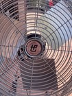 Tpi Industrial Portable Fan  55 In Wd  Rotary Switch Switch