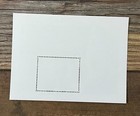 English Springer Spaniel Puppies Ess - Stamp Souvenir Sheet Benin 1998 Mint Mnh
