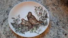 Lot Of 6 - Johnson Brothers Game Birds Large Oval Plates Vintage England Mcm