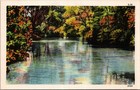 Vintage Linen Postcard Scenic River Landscape Trees Asheville Post Card Std Sz